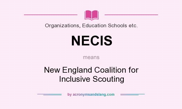 What does NECIS mean? It stands for New England Coalition for Inclusive Scouting