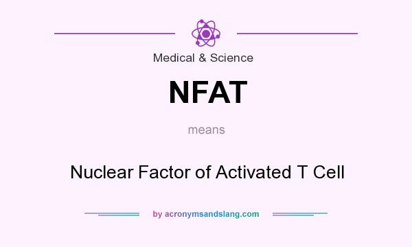 What does NFAT mean? It stands for Nuclear Factor of Activated T Cell