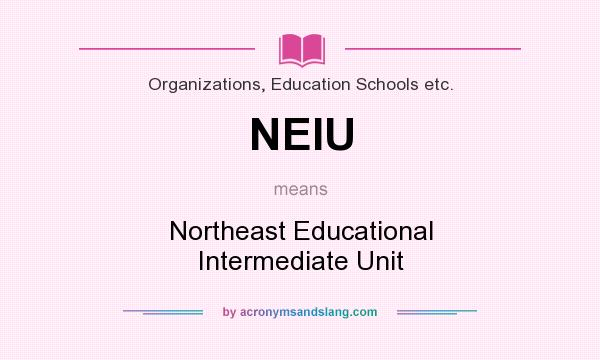 What does NEIU mean? It stands for Northeast Educational Intermediate Unit