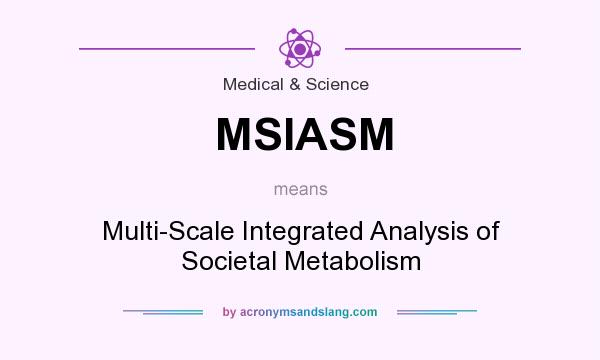 What does MSIASM mean? It stands for Multi-Scale Integrated Analysis of Societal Metabolism