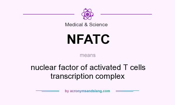 What does NFATC mean? It stands for nuclear factor of activated T cells transcription complex