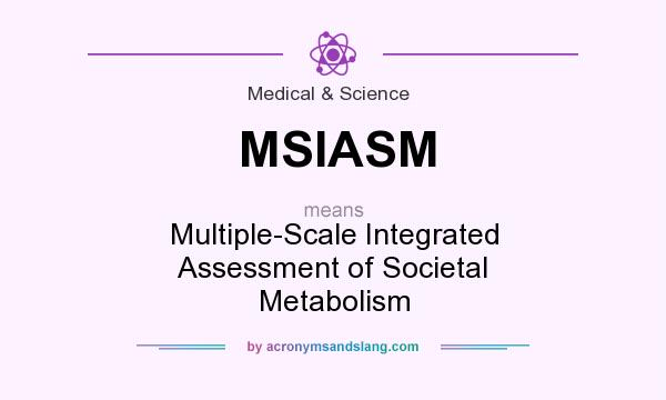 What does MSIASM mean? It stands for Multiple-Scale Integrated Assessment of Societal Metabolism