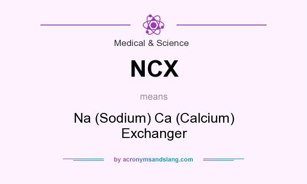 What does NCX mean? It stands for Na (Sodium) Ca (Calcium) Exchanger