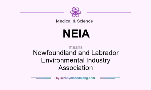 What does NEIA mean? It stands for Newfoundland and Labrador Environmental Industry Association