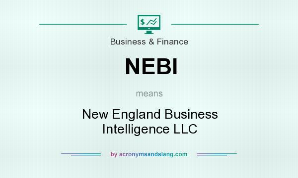 What does NEBI mean? It stands for New England Business Intelligence LLC