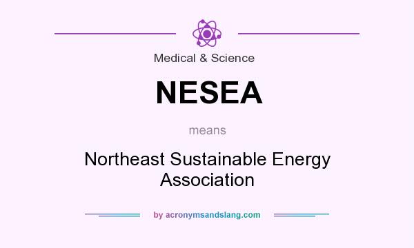 What does NESEA mean? It stands for Northeast Sustainable Energy Association