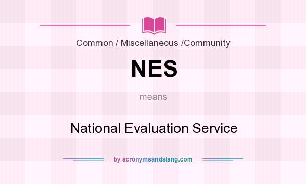 What does NES mean? It stands for National Evaluation Service