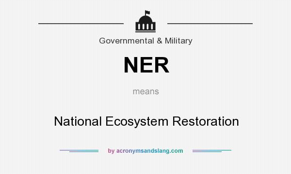 What does NER mean? It stands for National Ecosystem Restoration