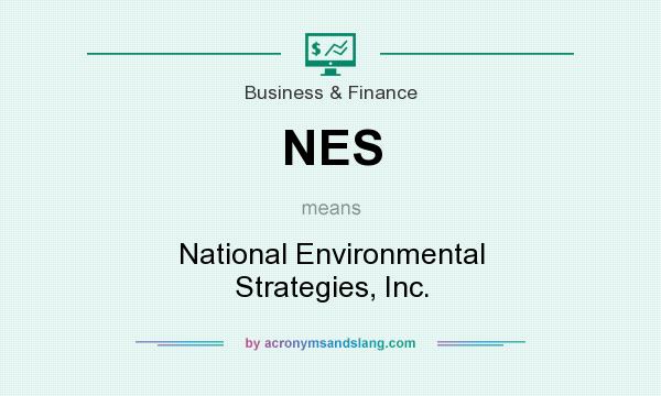 What does NES mean? It stands for National Environmental Strategies, Inc.