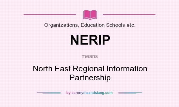 What does NERIP mean? It stands for North East Regional Information Partnership