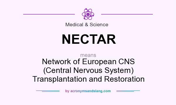 What does NECTAR mean? It stands for Network of European CNS (Central Nervous System) Transplantation and Restoration