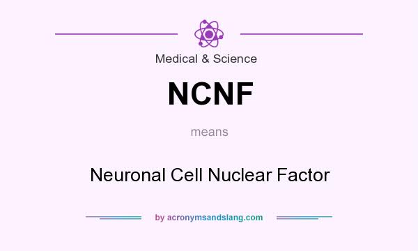 What does NCNF mean? It stands for Neuronal Cell Nuclear Factor