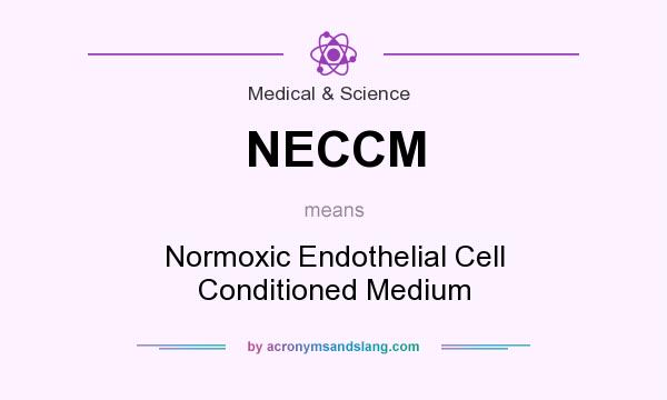 What does NECCM mean? It stands for Normoxic Endothelial Cell Conditioned Medium