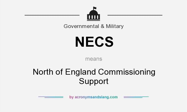What does NECS mean? It stands for North of England Commissioning Support