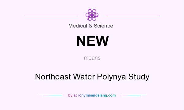 What does NEW mean? It stands for Northeast Water Polynya Study