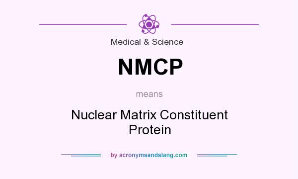 What does NMCP mean? It stands for Nuclear Matrix Constituent Protein