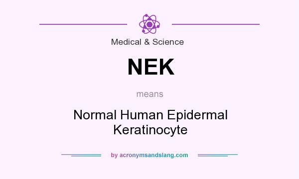 What does NEK mean? It stands for Normal Human Epidermal Keratinocyte
