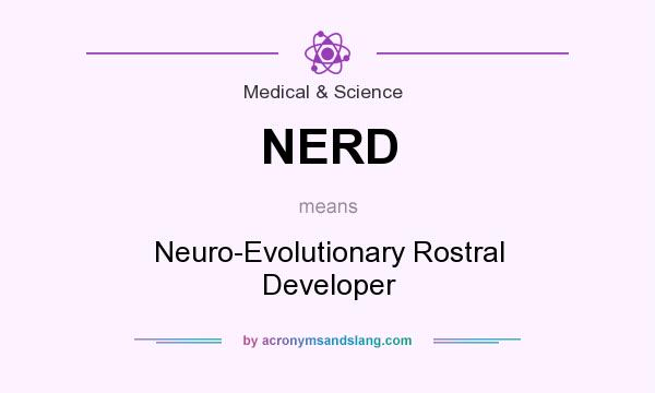What does NERD mean? It stands for Neuro-Evolutionary Rostral Developer