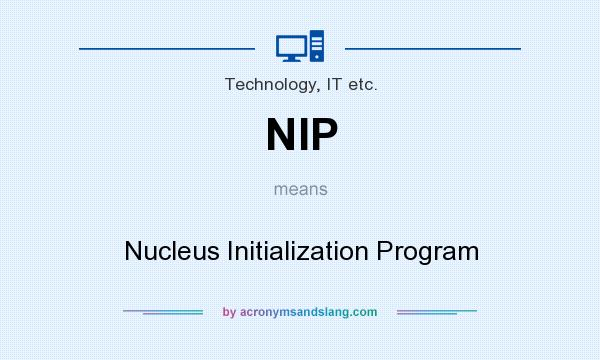 What does NIP mean? It stands for Nucleus Initialization Program