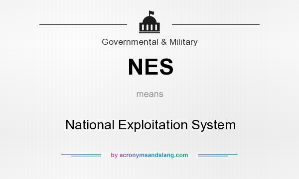 What does NES mean? It stands for National Exploitation System