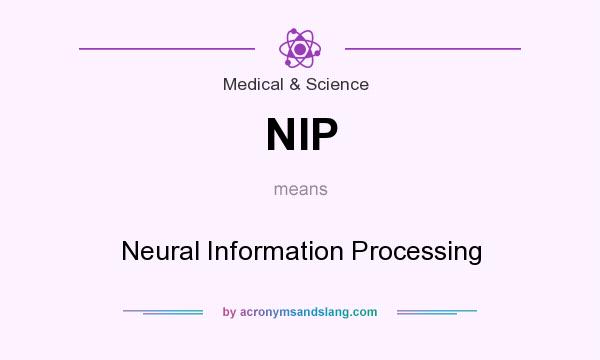 What does NIP mean? It stands for Neural Information Processing