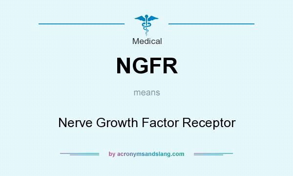 What does NGFR mean? It stands for Nerve Growth Factor Receptor