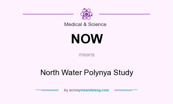 What does NOW mean? It stands for North Water Polynya Study