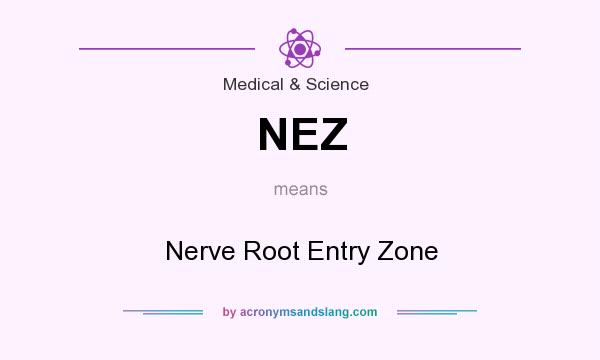 What does NEZ mean? It stands for Nerve Root Entry Zone