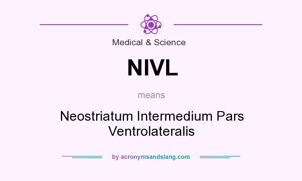 What does NIVL mean? It stands for Neostriatum Intermedium Pars Ventrolateralis