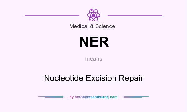 What does NER mean? It stands for Nucleotide Excision Repair