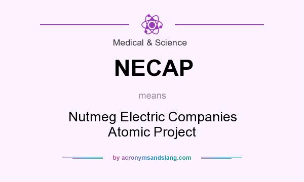 What does NECAP mean? It stands for Nutmeg Electric Companies Atomic Project