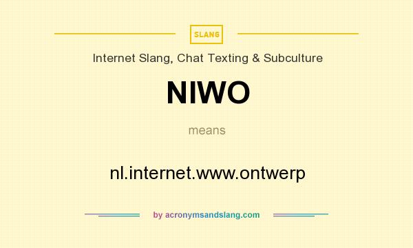 What does NIWO mean? It stands for nl.internet.www.ontwerp