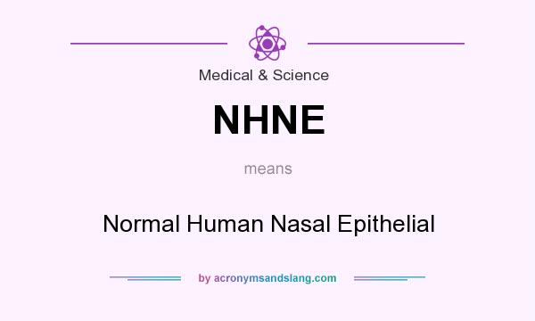 What does NHNE mean? It stands for Normal Human Nasal Epithelial