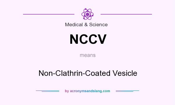 What does NCCV mean? It stands for Non-Clathrin-Coated Vesicle