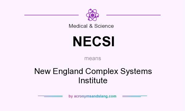 What does NECSI mean? It stands for New England Complex Systems Institute