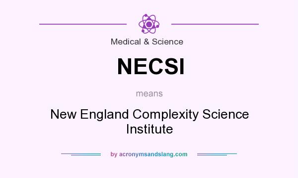 What does NECSI mean? It stands for New England Complexity Science Institute
