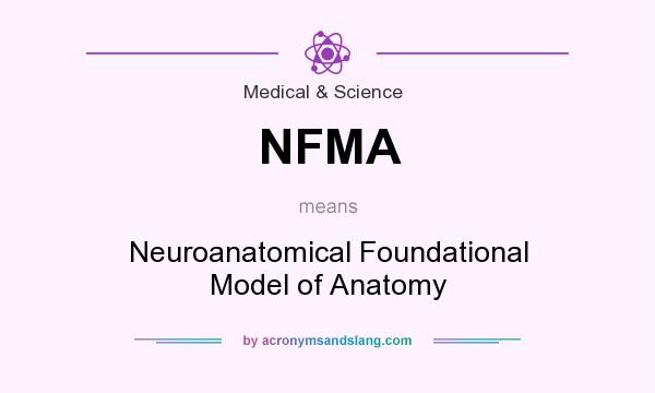 What does NFMA mean? It stands for Neuroanatomical Foundational Model of Anatomy