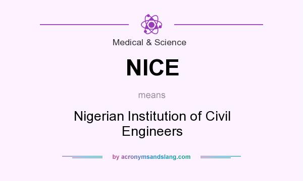 What does NICE mean? It stands for Nigerian Institution of Civil Engineers