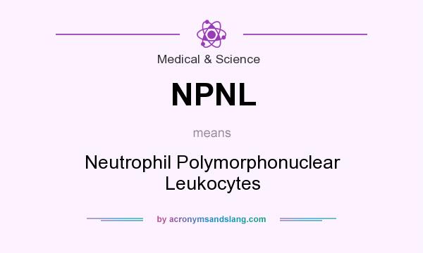 What does NPNL mean? It stands for Neutrophil Polymorphonuclear Leukocytes