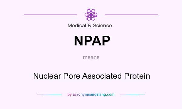 What does NPAP mean? It stands for Nuclear Pore Associated Protein