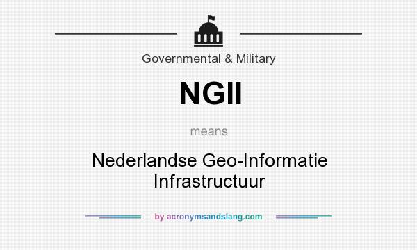 What does NGII mean? It stands for Nederlandse Geo-Informatie Infrastructuur