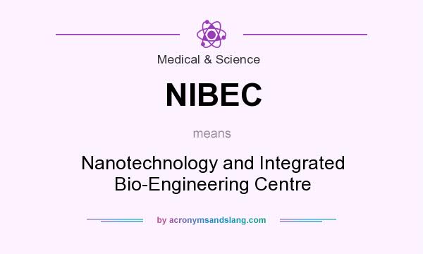 What does NIBEC mean? It stands for Nanotechnology and Integrated Bio-Engineering Centre