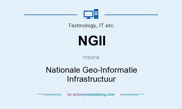 What does NGII mean? It stands for Nationale Geo-Informatie Infrastructuur
