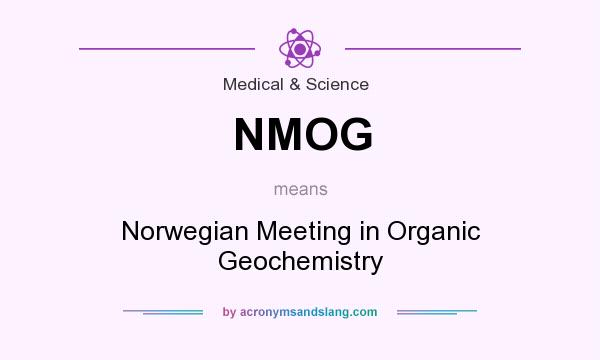 What does NMOG mean? It stands for Norwegian Meeting in Organic Geochemistry