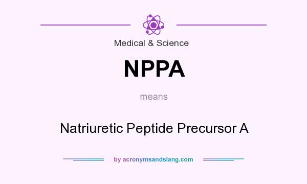 What does NPPA mean? It stands for Natriuretic Peptide Precursor A