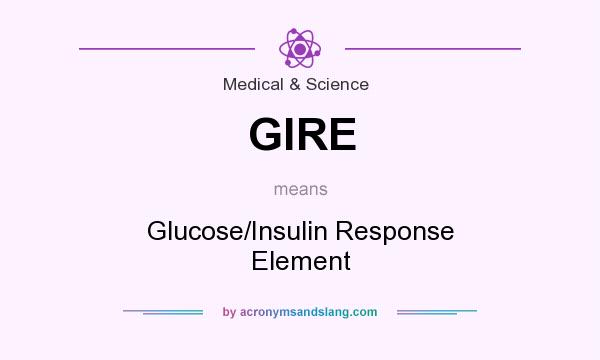 What does GlRE mean? It stands for Glucose/Insulin Response Element