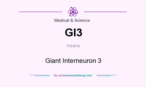 What does GI3 mean? It stands for Giant Interneuron 3