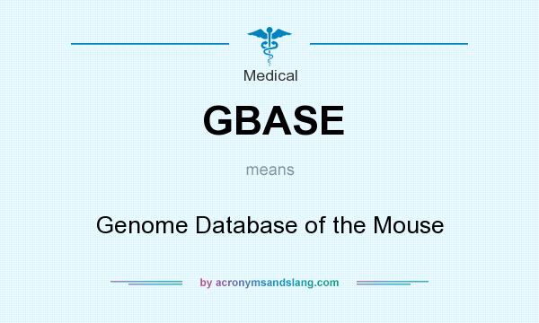 What does GBASE mean? It stands for Genome Database of the Mouse