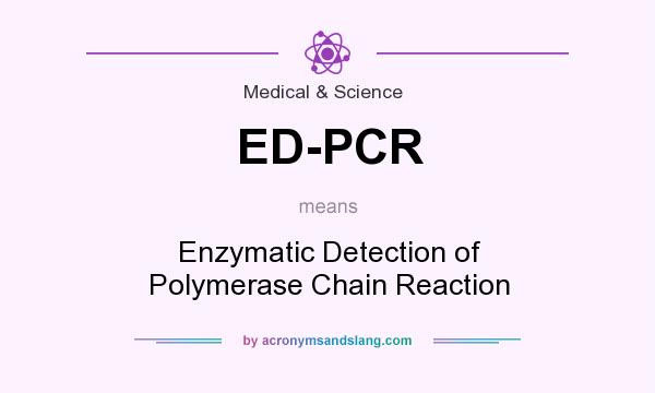 What does ED-PCR mean? It stands for Enzymatic Detection of Polymerase Chain Reaction