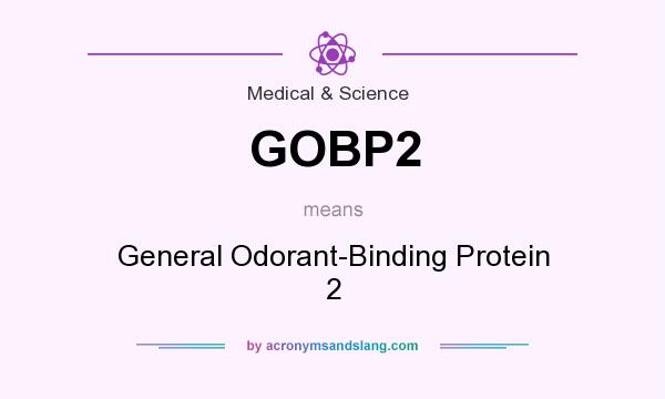 What does GOBP2 mean? It stands for General Odorant-Binding Protein 2